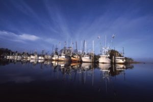 Apalachicola Shrimp Boats