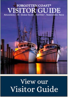 Apalachicola and St. George Island Visitor Guide